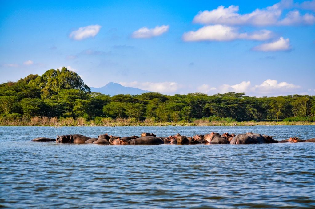 Things to do in Naivasha